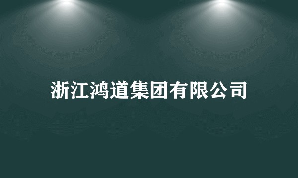 浙江鸿道集团有限公司