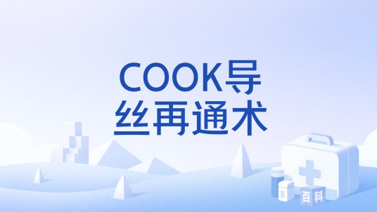 COOK导丝再通术
