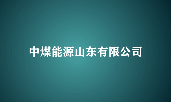 中煤能源山东有限公司