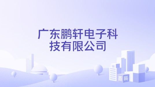 广东鹏轩电子科技有限公司