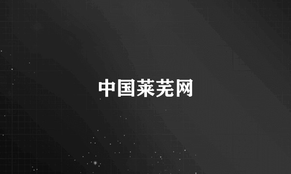中国莱芜网