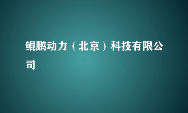 鲲鹏动力（北京）科技有限公司