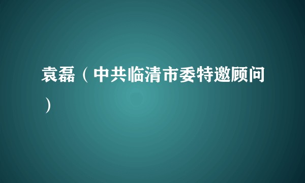 袁磊（中共临清市委特邀顾问）