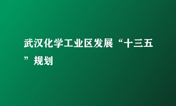 武汉化学工业区发展“十三五”规划