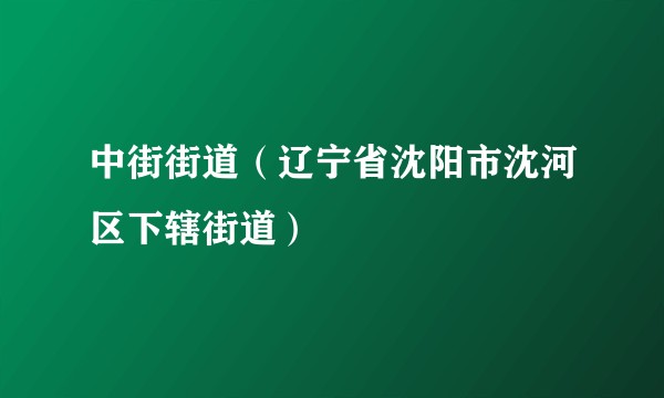 中街街道(辽宁省沈阳市沈河区下辖街道)