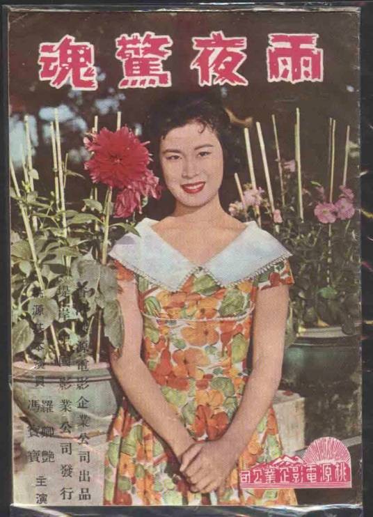 雨夜惊魂（1960年龙图执导的电影）