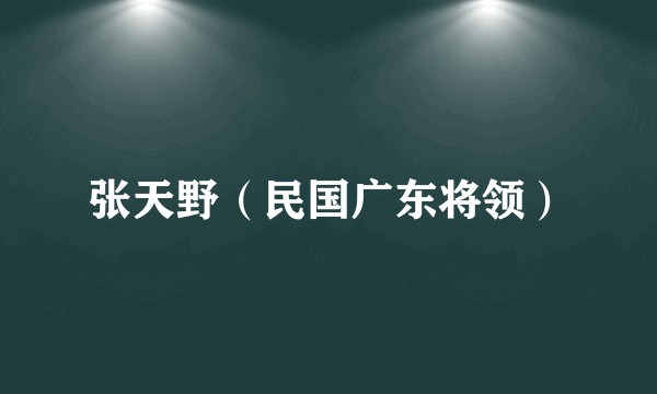 张天野(民国广东将领)
