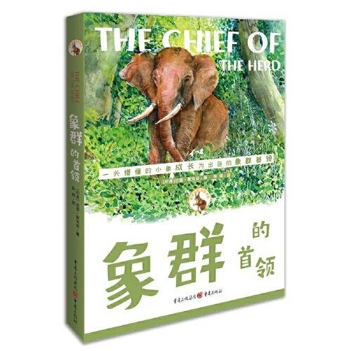 象群的首领