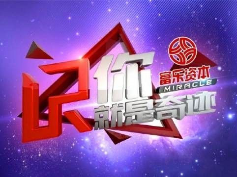 你就是奇迹（湖北卫视你就是奇迹）