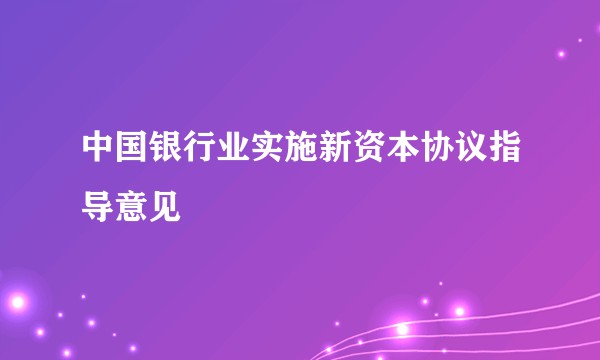 中国银行业实施新资本协议指导意见