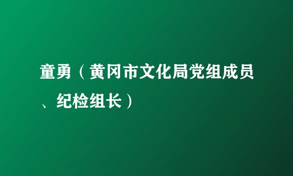 童勇（黄冈市文化局党组成员、纪检组长）