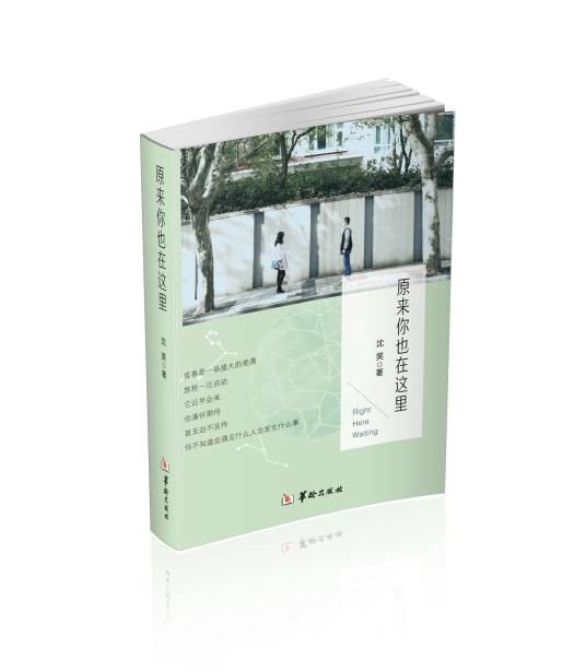 原来你也在这里(2016年华龄出版社出版的小说)
