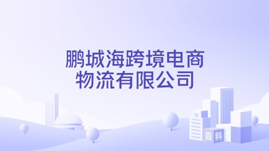 鹏城海跨境电商物流有限公司