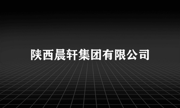 陕西晨轩集团有限公司