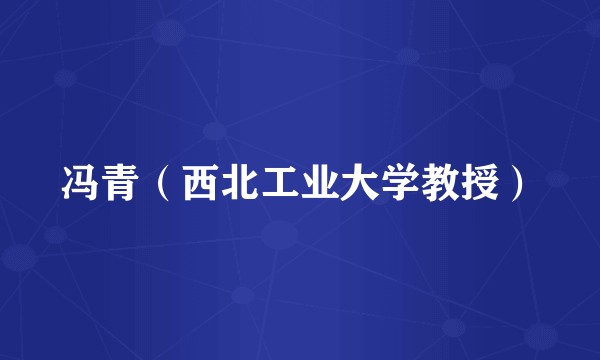 冯青（西北工业大学教授）