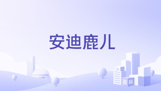 安迪鹿儿