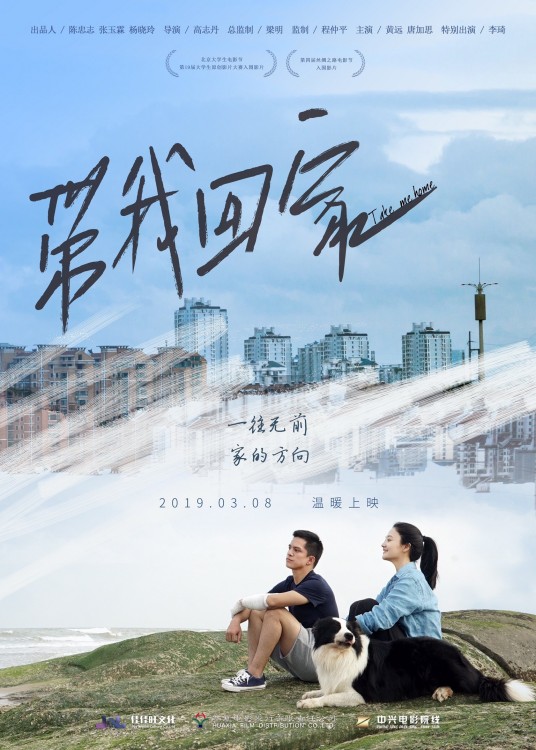 带我回家（2019年高志丹执导的中国大陆电影）