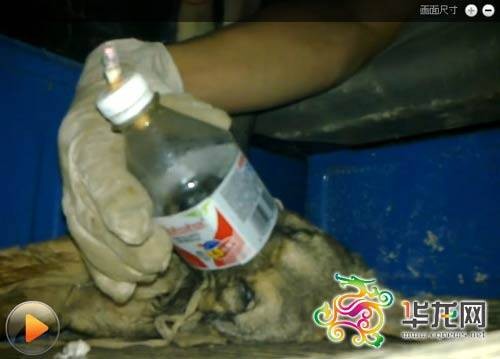重庆武隆男子虐狗事件