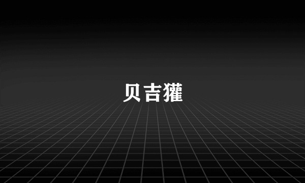 贝吉獾