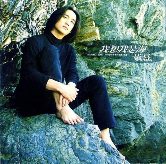 我想我是海（黄磊1998年发行的音乐专辑）