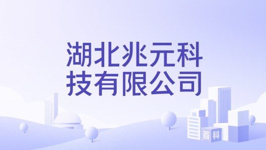 湖北兆元科技有限公司