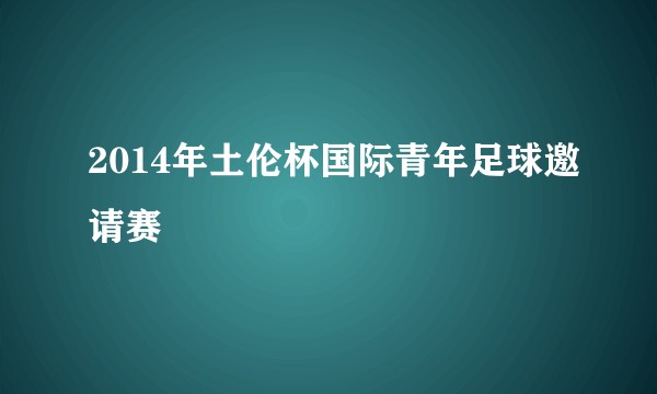 2014年土伦杯国际青年足球邀请赛