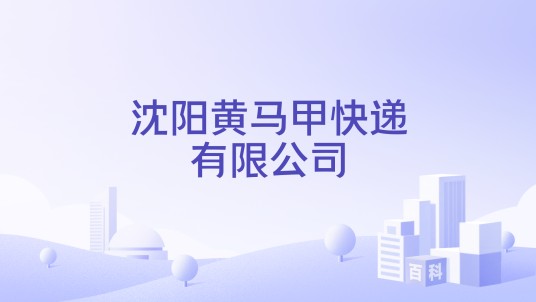 沈阳黄马甲快递有限公司