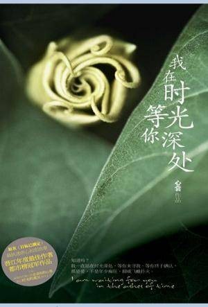 我在时光深处等你（心裳创作的言情小说）