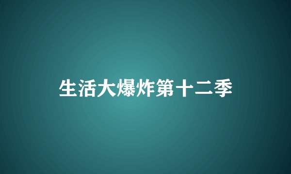生活大爆炸第十二季