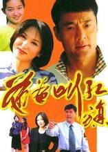 爸爸叫红旗(2003年朱传光出版的图书)
