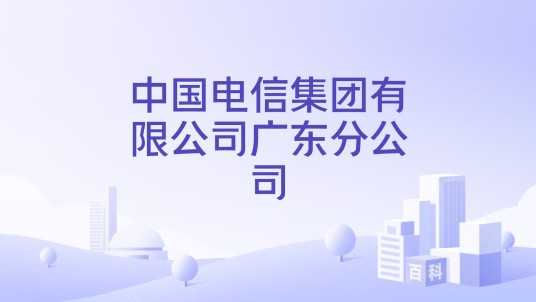中国电信集团有限公司广东分公司