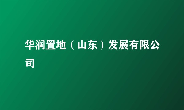 华润置地（山东）发展有限公司