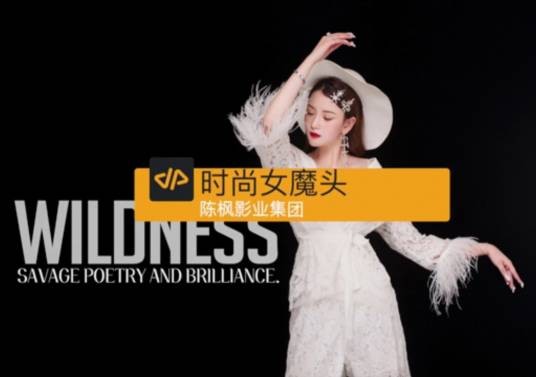 时尚女魔头（陈枫影业集团2019年出品录制100集网剧）
