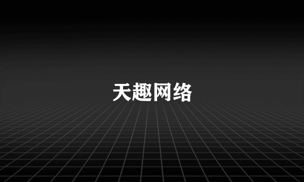 天趣网络