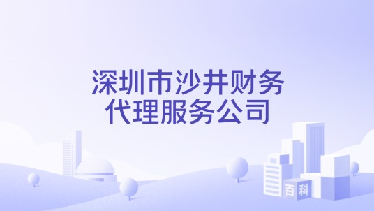 深圳市沙井财务代理服务公司