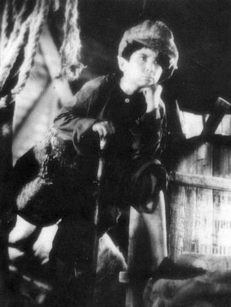迷途的羔羊（1936年蔡楚生执导的电影）