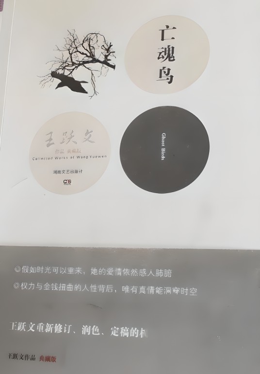 王跃文作品典藏版：亡魂鸟