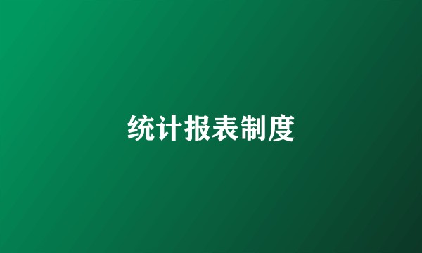 统计报表制度