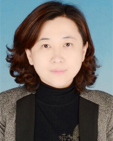 魏欣（北京市通州区马驹桥镇党委书记）