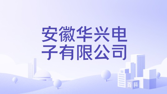 安徽华兴电子有限公司