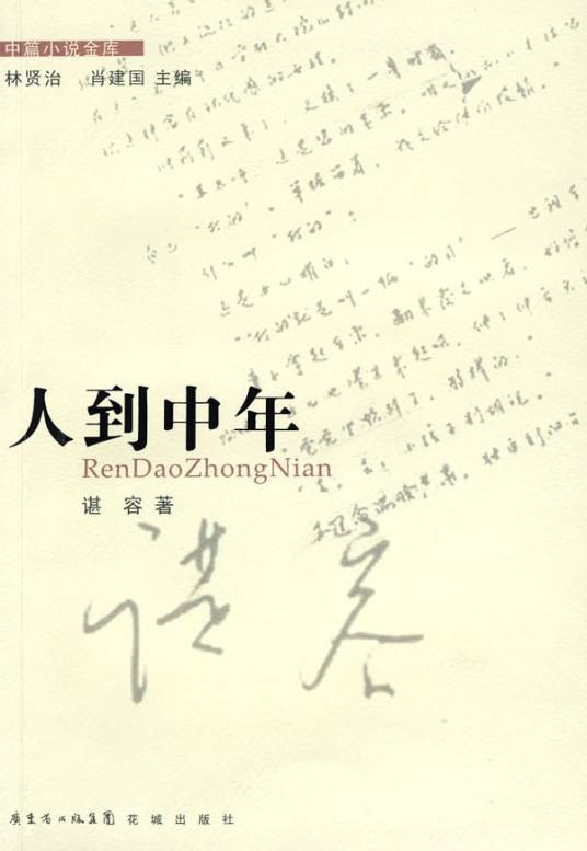 人到中年（谌容创作的小说）