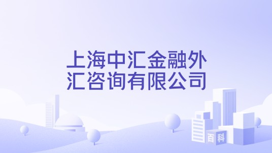 上海中汇金融外汇咨询有限公司