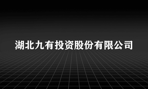 湖北九有投资股份有限公司