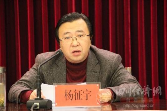 杨征宇（海归学者）