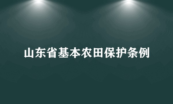 山东省基本农田保护条例