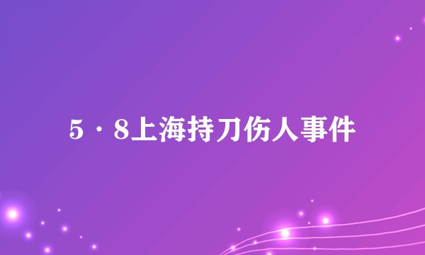 5·8上海持刀伤人事件