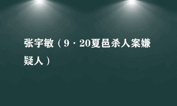 张宇敏（9·20夏邑杀人案嫌疑人）
