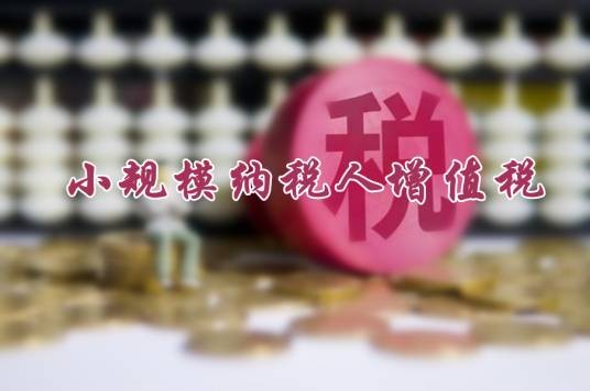 小规模纳税人增值税