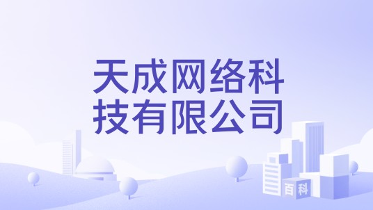 天成网络科技有限公司