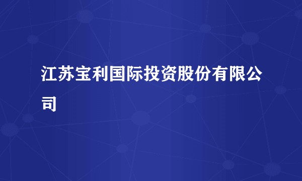 江苏宝利国际投资股份有限公司